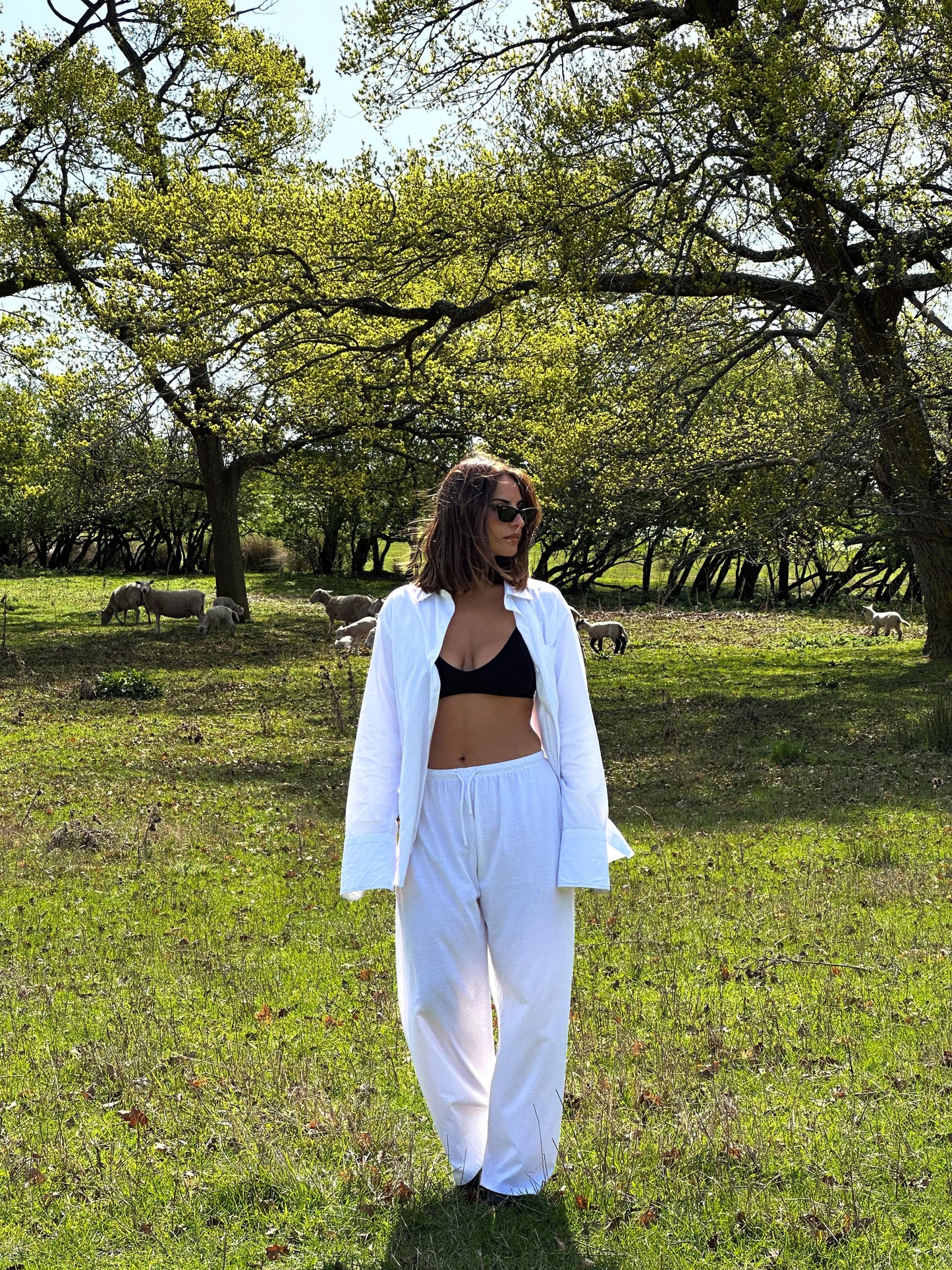 Lounge Pants